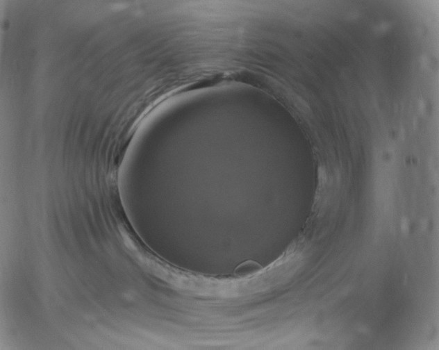 X0000055990048200509021649