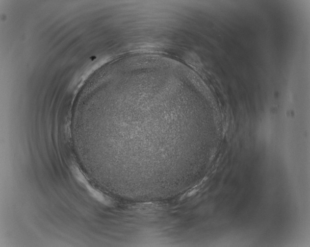 X0000055990050200509021649