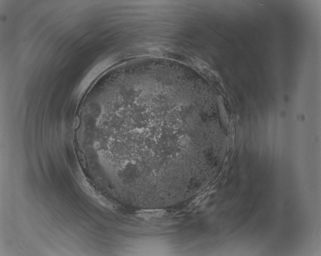 X0000055990051200509021649