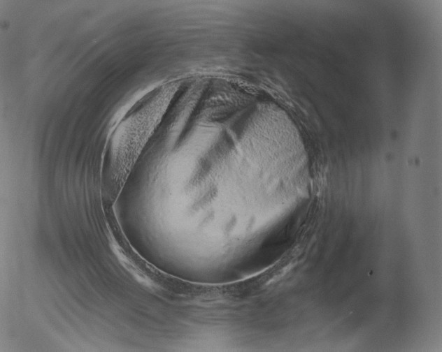 X0000055990052200509021649