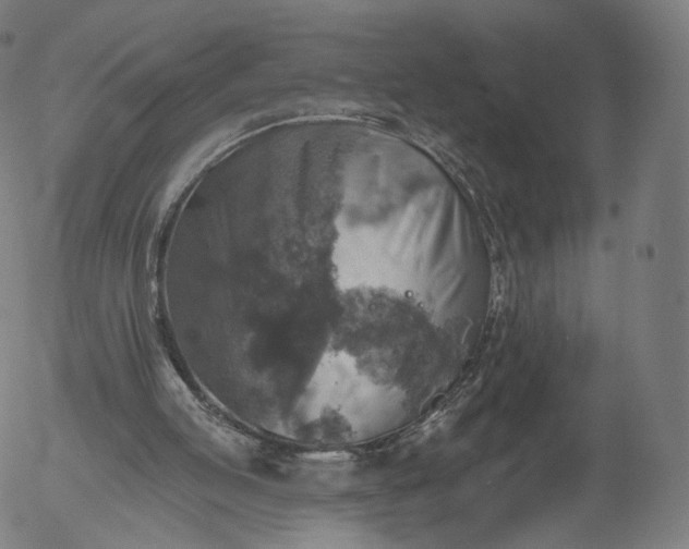 X0000055990053200509021649