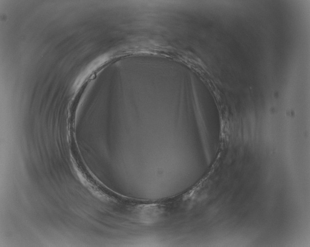 X0000055990054200509021649