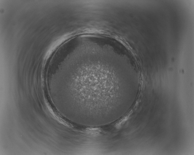 X0000055990055200509021649