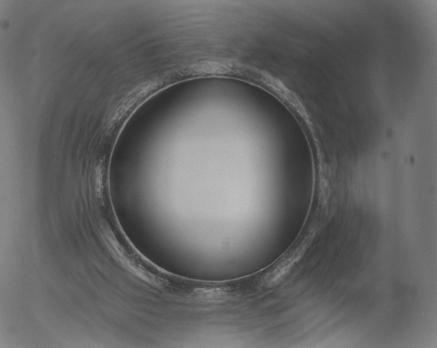 X0000055990057200509021649