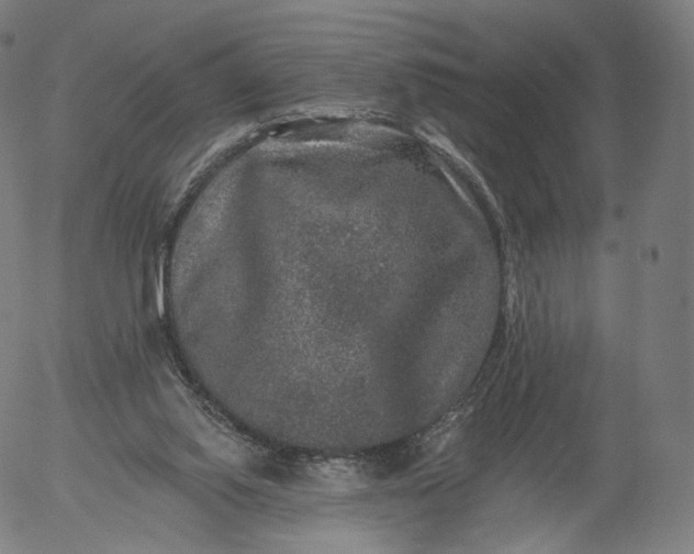 X0000055990062200509021649