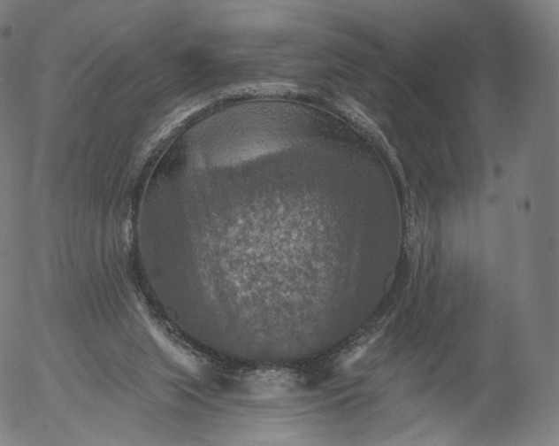 X0000055990063200509021649