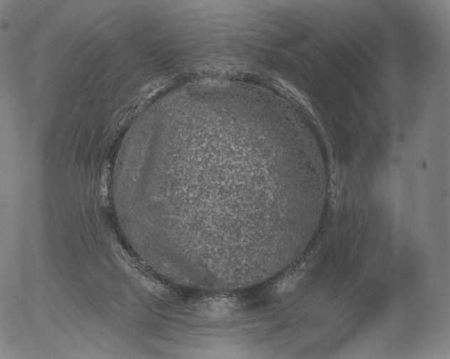 X0000055990065200509021649