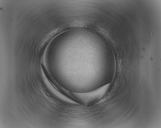 X0000055990068200509021649