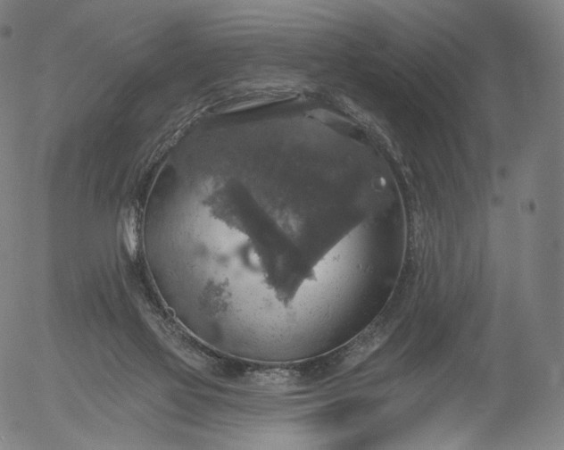 X0000055990069200509021649