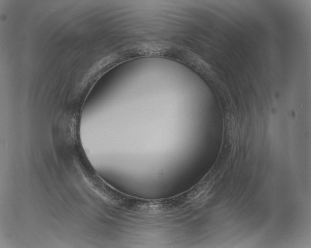 X0000055990071200509021649