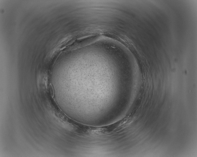 X0000055990072200509021649