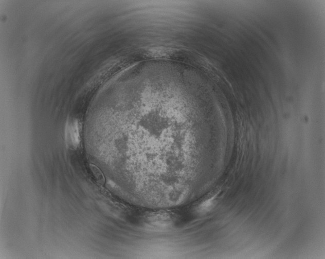 X0000055990075200509021649