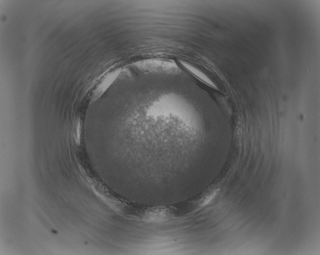 X0000055990076200509021649