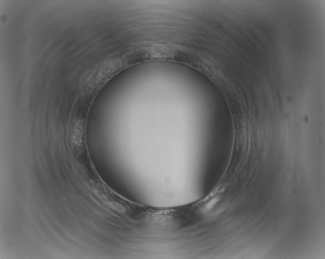 X0000055990078200509021649