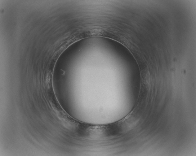 X0000055990082200509021649