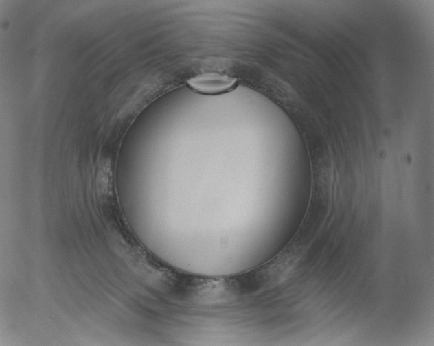 X0000055990083200509021649