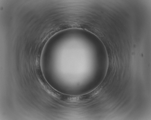 X0000055990084200509021649