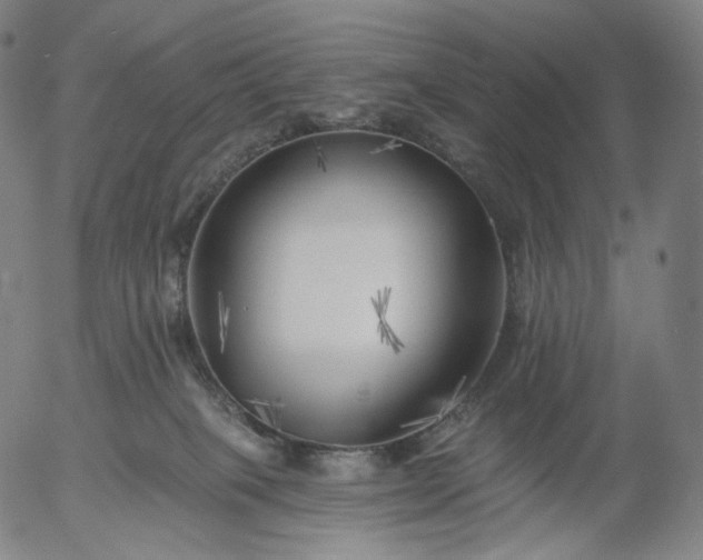 X0000055990085200509021649