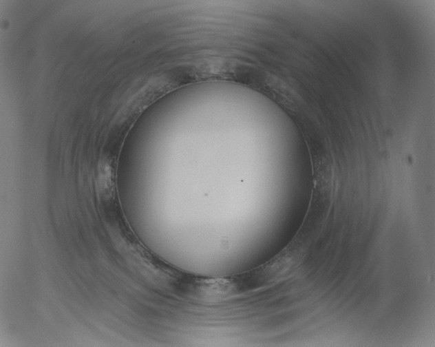 X0000055990087200509021649