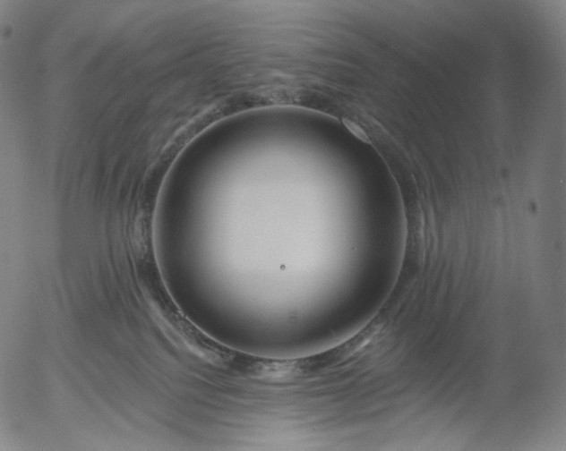 X0000055990088200509021649