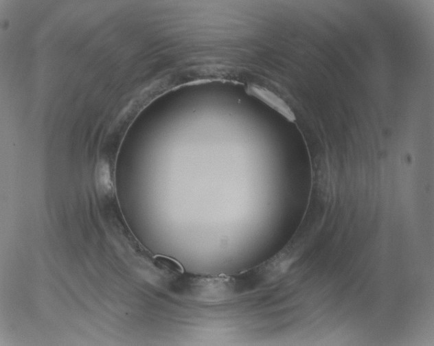 X0000055990089200509021649