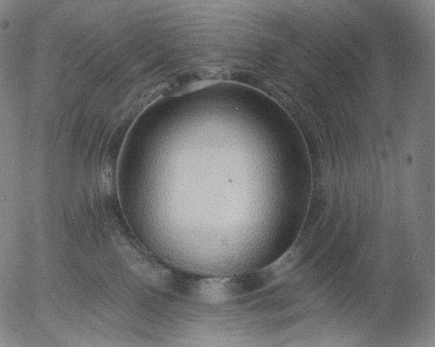 X0000055990090200509021649