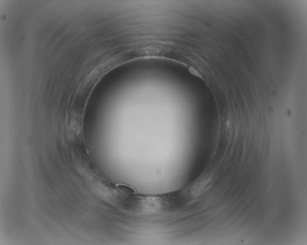 X0000055990091200509021649