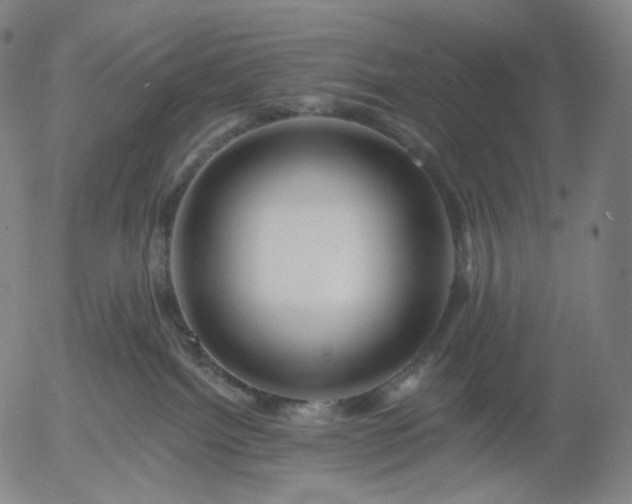 X0000055990092200509021649