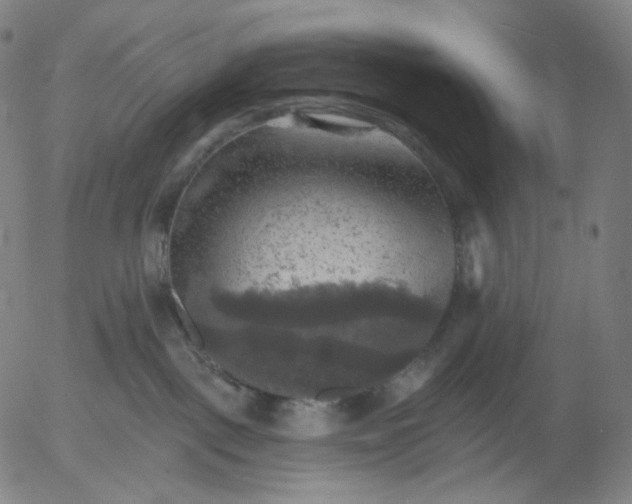 X0000055990093200509021649