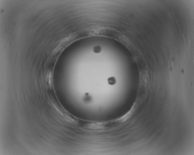 X0000055990094200509021649