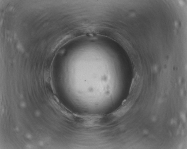 X0000055990096200509021649