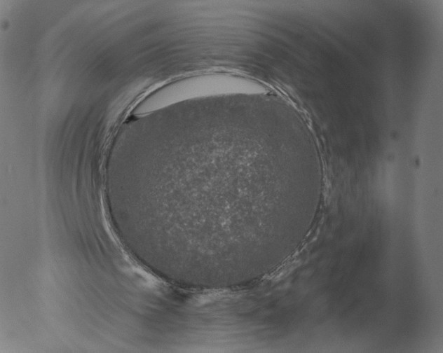 X0000055990097200509021649