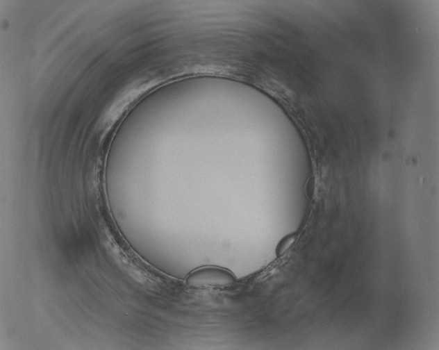 X0000055990098200509021649