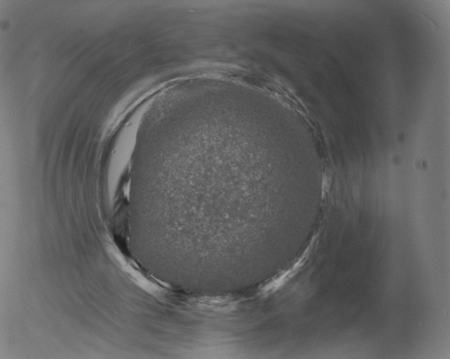 X0000055990101200509021648