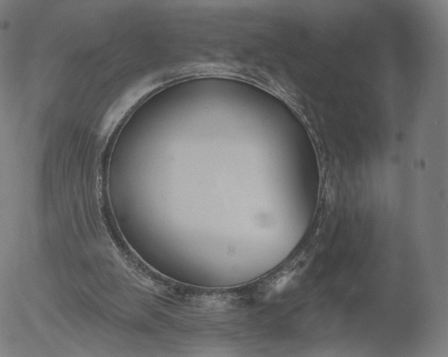 X0000055990103200509021648