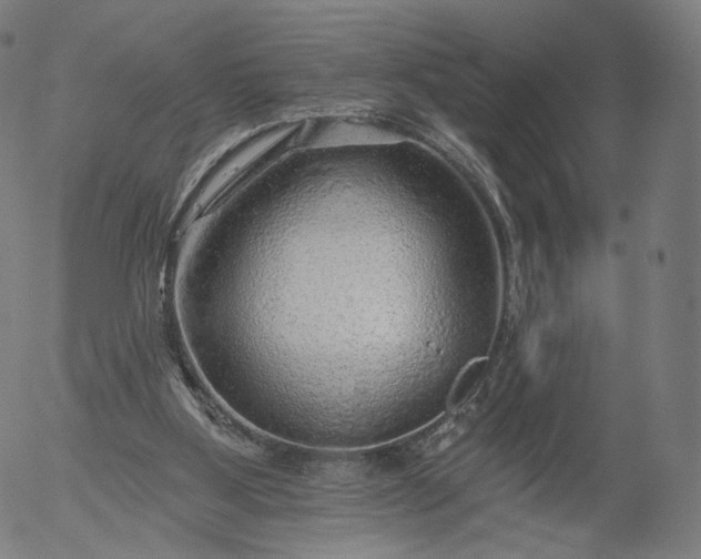 X0000055990107200509021648