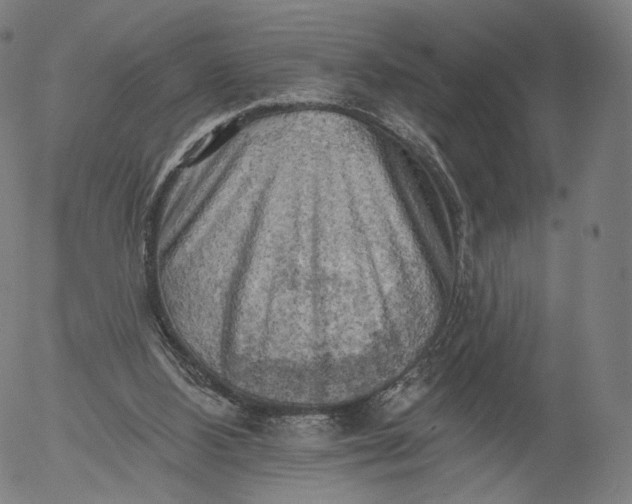 X0000055990108200509021648