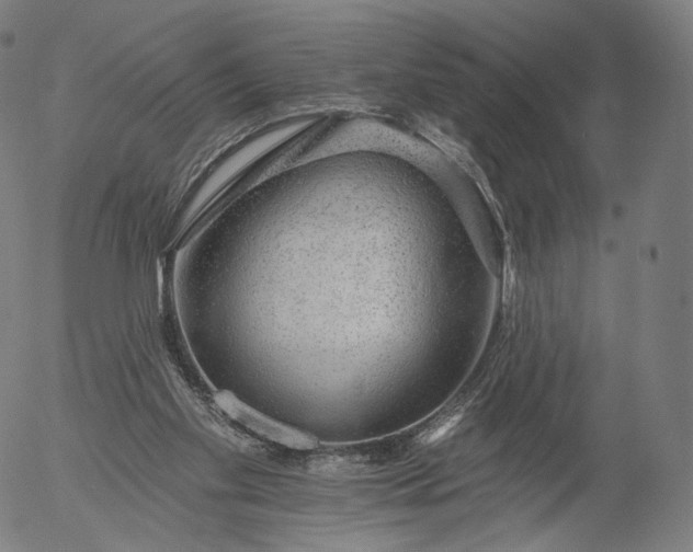 X0000055990109200509021648