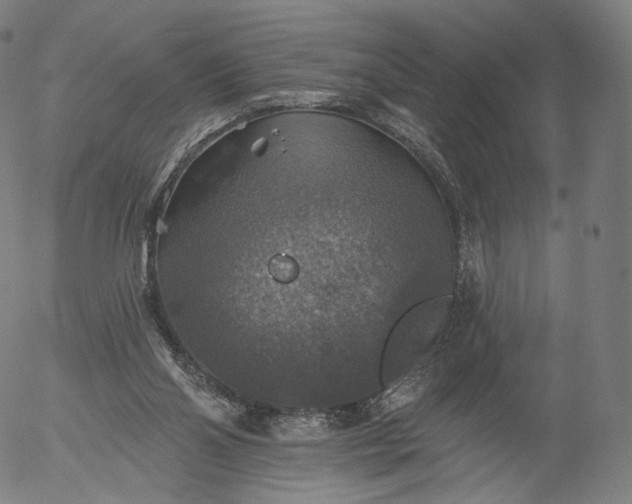 X0000055990110200509021648