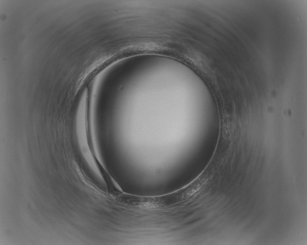 X0000055990111200509021648