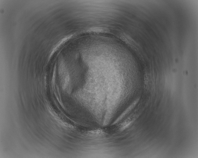 X0000055990112200509021648