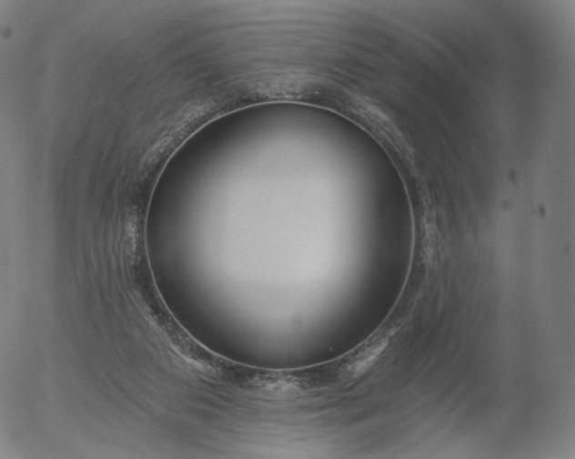 X0000055990113200509021648