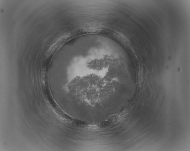 X0000055990114200509021648