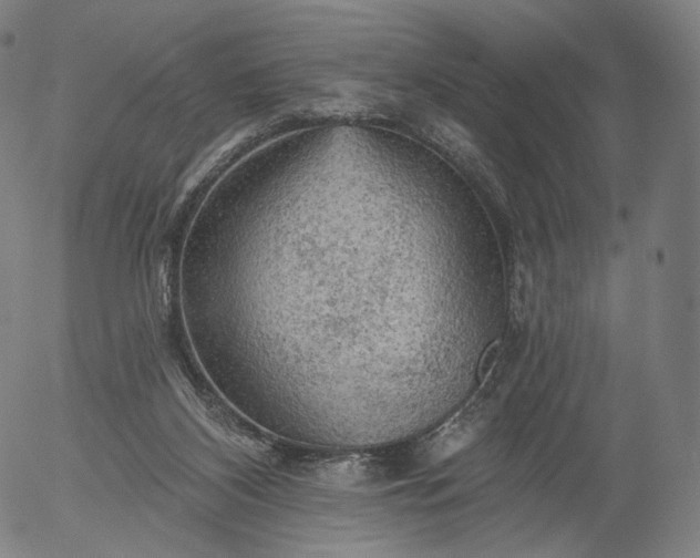 X0000055990116200509021648