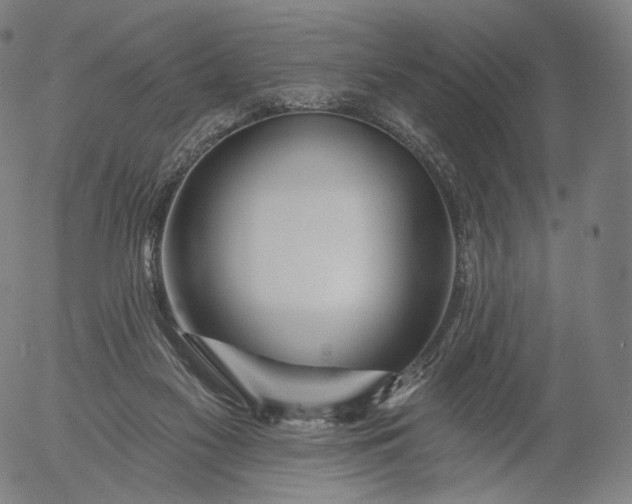 X0000055990117200509021648