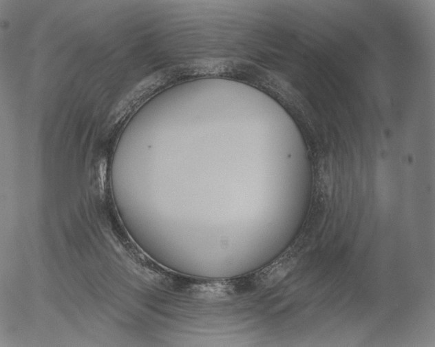 X0000055990118200509021648