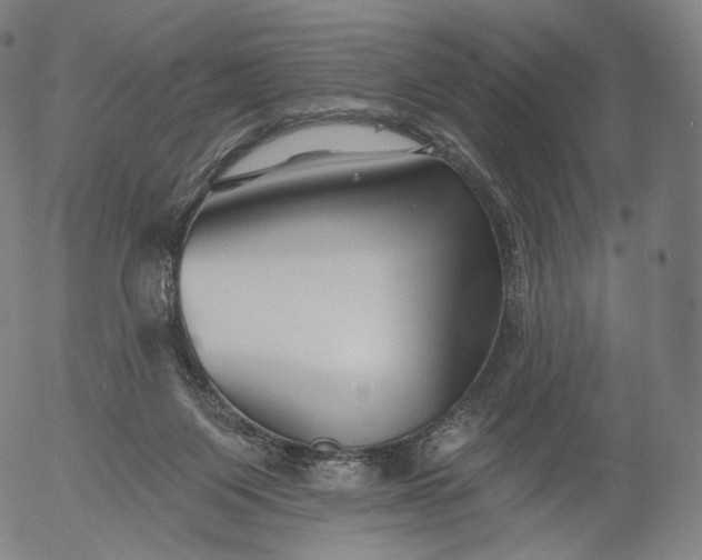 X0000055990119200509021648