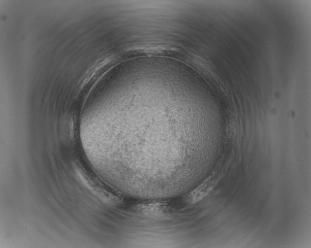 X0000055990120200509021648