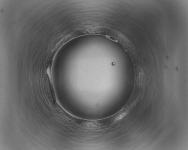 X0000055990121200509021648