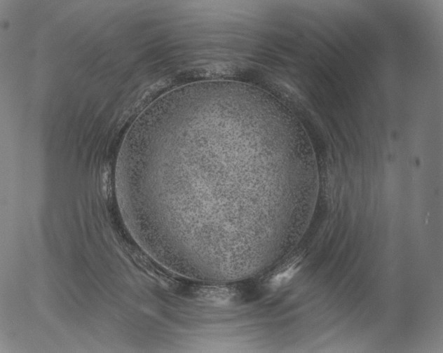 X0000055990123200509021648